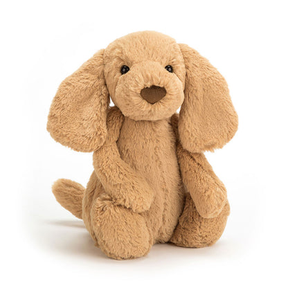 If I Were a Dog Board Book & Bashful Toffee Puppy Medium | Jellycat