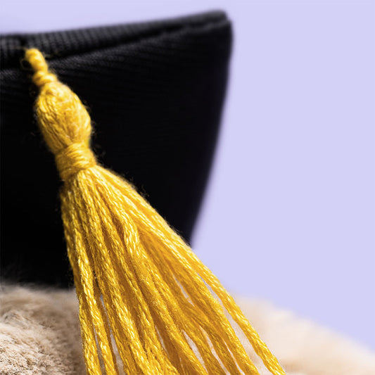 Bashful Bunny Graduation Outfit | Jellycat